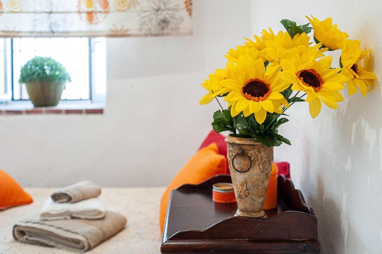 Apartamento Los Girasoles مْبيخير ذي لا فرونتيرا المظهر الخارجي الصورة